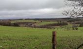 Tocht Stappen Neufchâteau - Randonnée à Neufchâteau  - Photo 15