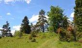 Tour Zu Fuß Gomadingen - Traufgänge - Ochsenbergtour - Photo 5