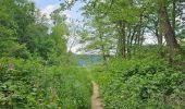Trail Walking Neupré - A la découverte de la Roche aux Faucons 🥾 - Photo 3