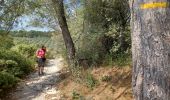 Trail Walking Velleron - velleron 1 - Photo 12