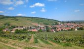 Trail Walking Andlau - Les châteaux d'Andlau et le vignoble de Mittelbergheim. - Photo 2