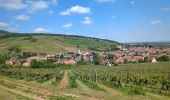 Excursión Senderismo Andlau - Les châteaux d'Andlau et le vignoble de Mittelbergheim. - Photo 2