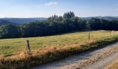 Tour Wandern Paliseul - GR 14 OUR-CORBION - Photo 1