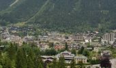 Randonnée Marche Chamonix-Mont-Blanc - Chamonix départ parking du Biolay derrière cimetière  - Photo 16