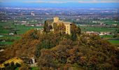 Tour Zu Fuß Quattro Castella - Percorso del Parco Bianello - Photo 8