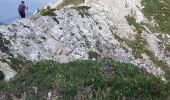 Tocht Stappen Pralognan-la-Vanoise - Pralognan - la crête du mont Charvet - Photo 14