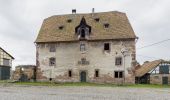 Tour Zu Fuß Eschwege - Rundweg Werratalsee - Photo 7