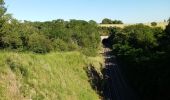 Tocht Stappen Balbigny - Départ de Chessieu, PR2. funiculaire - Photo 2