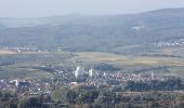 Percorso A piedi Bingen am Rhein - Schönhölle Spelzenberg - Photo 6