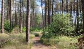 Tour Wandern Hechtel-Eksel - Promenade vers la piste dans les arbres  - Photo 11