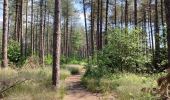 Tocht Stappen Hechtel-Eksel - Promenade vers la piste dans les arbres  - Photo 11