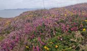 Randonnée Marche West Cork - Dursey Sound - Allihies beach - Photo 6