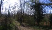 Trail Mountain bike Mettet - activity_8612294030 - Photo 5