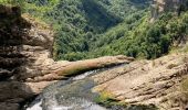 Trail Walking Plateau d'Hauteville - Hauteville  - Photo 9