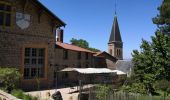 Randonnée Marche Chevinay - Saint Bonnet Le Froid - Les tours - Photo 6