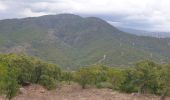 Excursión Senderismo Rayol-Canadel-sur-Mer - Le Rayol, col de l'étoile  - Photo 2