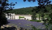 Trail Walking Gordes - abbaye de Senanque par les dilais  - Photo 2