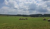 Tour Wandern Feitweiler - rando fauvillers 26 /06/2021 - Photo 2