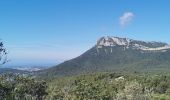 Percorso Marcia La Farlède - De La farlède au plateau de Mourras - Photo 1