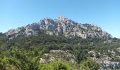 Trail Walking Marseille - Marseilleveyre-sommet-1105-22 - Photo 7