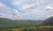 Tour Wandern Feitweiler - rando wisembach 18-08-2022 - Photo 4