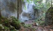 Randonnée Marche Samoëns - Samoens . gorges des tines - retour  - Photo 10