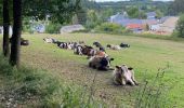 Randonnée Marche Kiischpelt - Escapardenne Eisleck Trail: Kautenbach - Clervaux - Photo 19