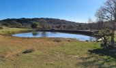 Tour Wandern Viols-le-Fort - violslefort-avens-drailles - Photo 20