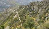 Trail Walking Duranus - L'Engarvin - cime de Roccasierra  - Photo 10