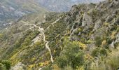 Tocht Stappen Duranus - L'Engarvin - cime de Roccasierra  - Photo 10