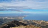 Tour Wandern Collioure - Col de Mollo La Madeloc_T - Photo 1