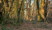 Trail  Aix-les-Bains - Corsuet chemin du Rossignol  - Photo 10