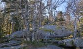 Randonnée Marche Sainte-Marie-aux-Mines - la croix de Ribeauvillé  - Photo 20