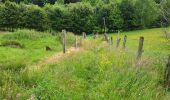 Tocht Stappen Houffalize - Engreux 080625 - Photo 10