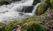 Tour Wandern Le Ménil - Boucle au départ des chalets de la 