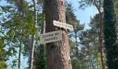 Tour Wandern Ormoy-le-Davien - 030422 - Direction Vaucienne puis Vaumoise et Cave du diable - Photo 17