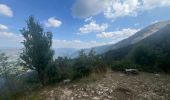 Tocht Stappen Beaumont-du-Ventoux - Mont serein 30/08/2024 - Photo 2