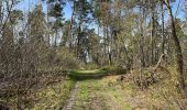 Trail Walking Compiègne - en forêt de Compiègne_48_sur les Routes de la Mariolle et du Grand Veneur - Photo 7