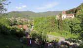 Tour Zu Fuß Gemeinde Mühldorf - Welterbesteig Wachau Etappe 5 - Photo 6