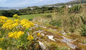 Randonnée Marche West Cork - Ardgroom -  Eyeries - Photo 14