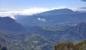 Tour Wandern Salazie - Le km vertical - Photo 7