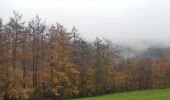 Randonnée Marche Stoumont - 10km sous la pluie autour de Lorcé - Photo 3