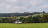 Tour Wandern Winseler - 20211017 - Doncols 8.4 Km - Photo 10