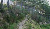 Excursión Senderismo Marignac-en-Diois - Marignac - But de l'Aiglette - Col de Vassieux - Photo 15