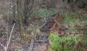 Trail Walking Stavelot - 20211213 - Hockay 5.4 Km - Photo 5
