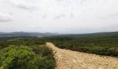Excursión Senderismo Le Castellet - Roche Redonne depuis Ste Anne du Castelet - Photo 4