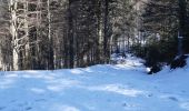 Randonnée Marche La Bresse - col de bramont - Photo 7