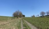 Percorso Marcia Neufchâteau - Massul - Bercheux - Photo 6