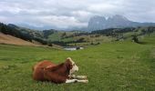 Tour Wandern Kastelruth - Seiser Alm - Puflatsch Rundweg zu den Hexenbänken - Photo 6