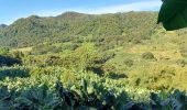 Excursión Senderismo Le Marigot - Boucle Pol Nord - Papin via Hbt Lagrange - Photo 17